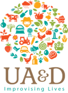 UAD Logo